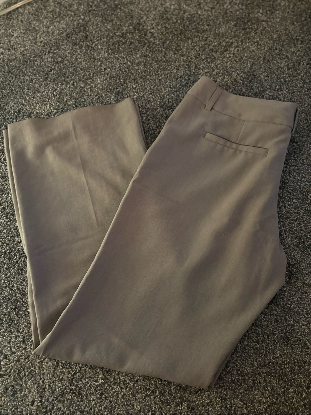 The Limited Women's Boot Cut Pants in Taupe